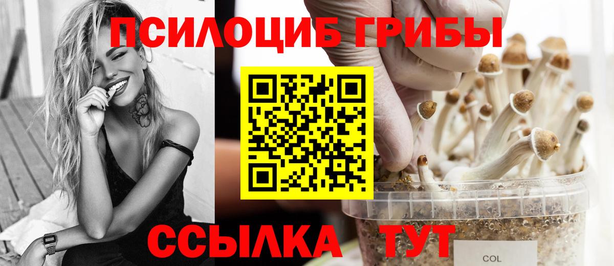 Галлюциногенные грибы мицелий  Галлюциногенные грибы мицелий  Обнинск  Вход с VPN 