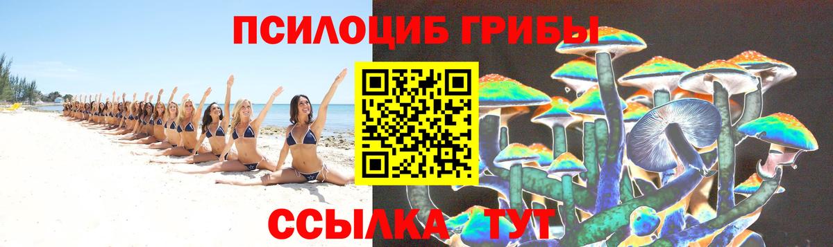 Галлюциногенные грибы мицелий Обнинск